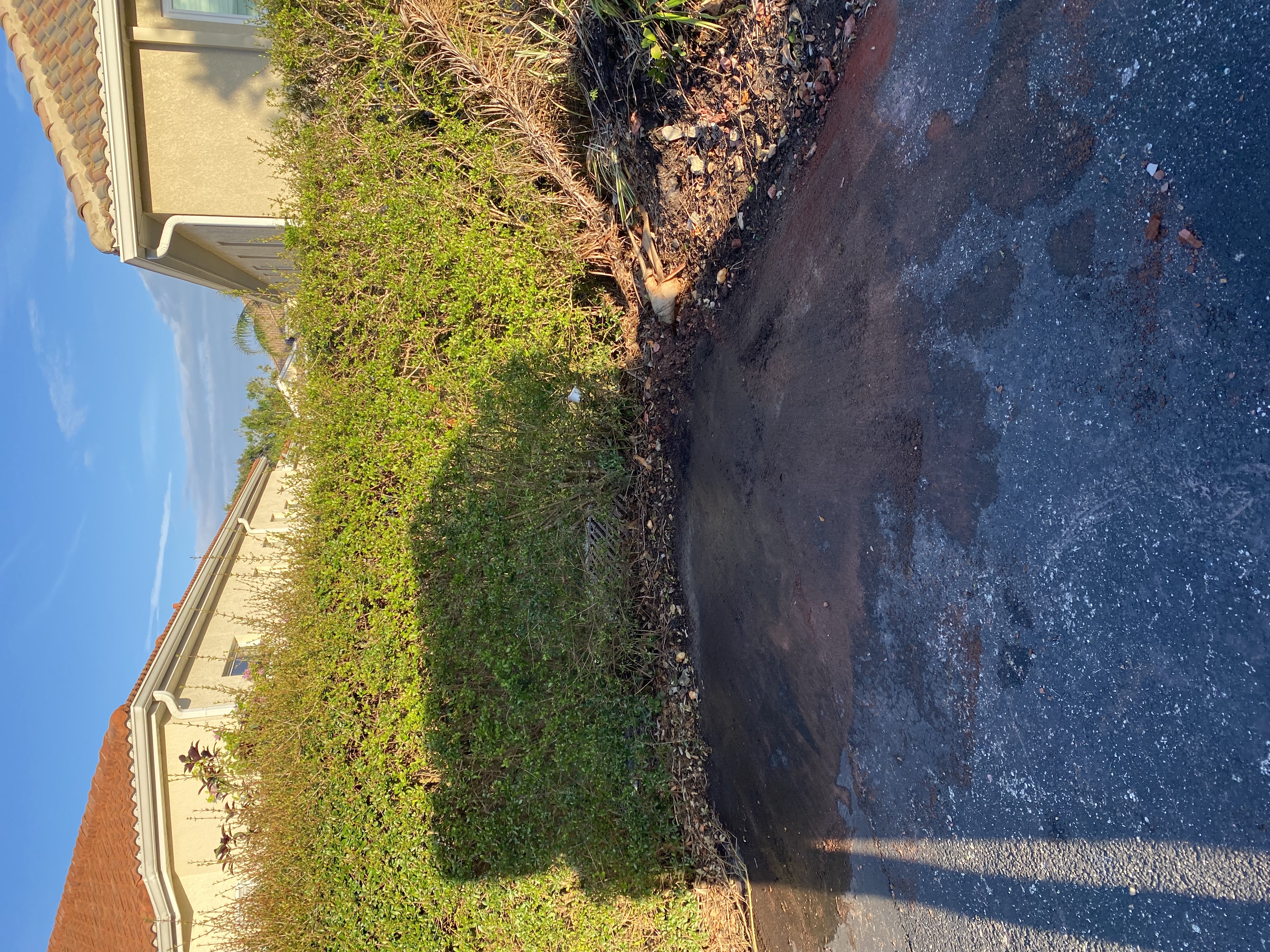 After — junk removal complete